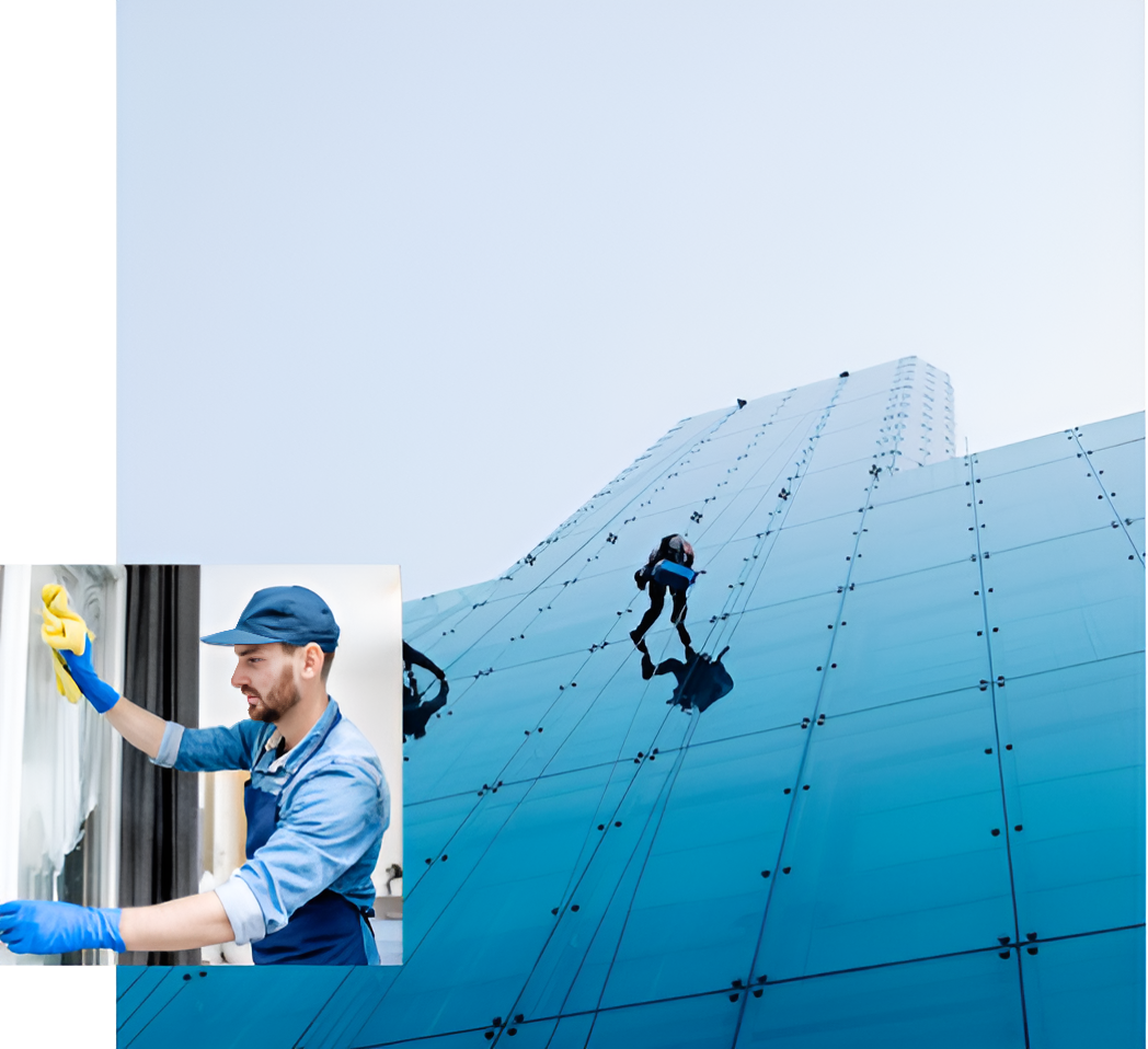 Our Services - MR HAMID GROUP